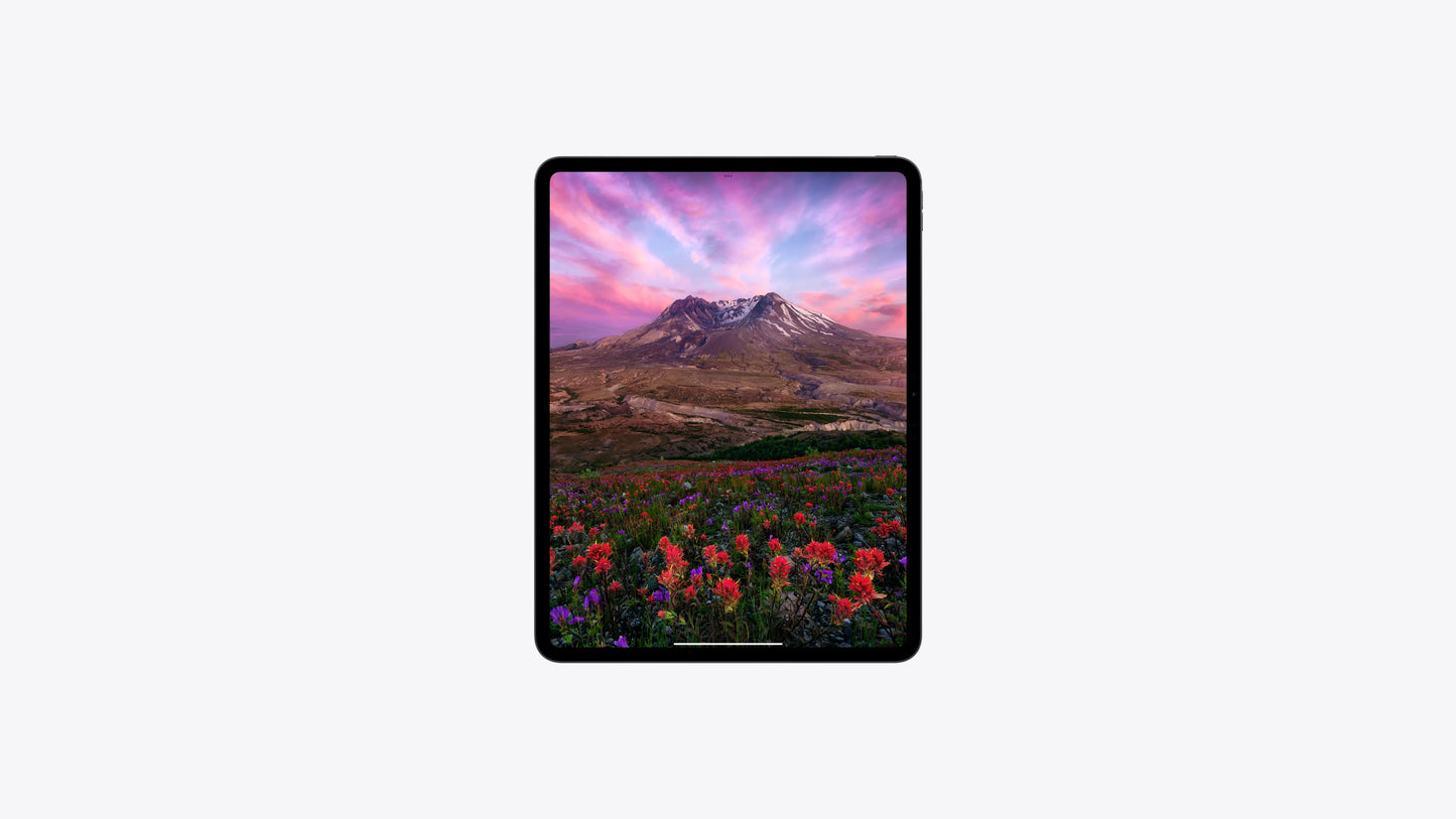 iPad Pro Wi-Fi + Cellular 13-inch